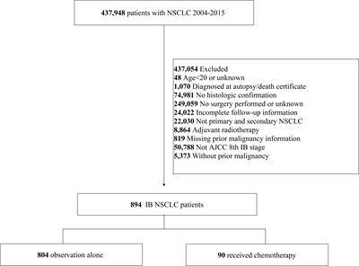 Adjuvant chemotherapy may improve long-term outcomes in stage IB non-small cell lung cancer patients with previous malignancies: A propensity score-matched analysis